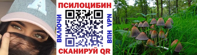 гидра как зайти нарко площадка какой сайт Псилоцибиновые грибы Cubensis где можно купить наркотик Лесной