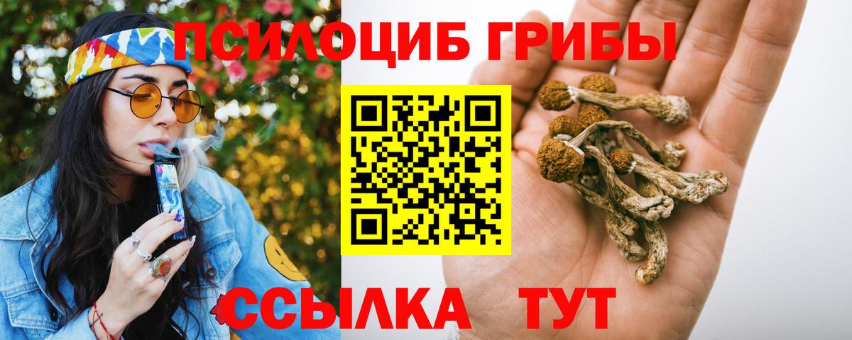 Псилоцибиновые грибы Psilocybe  Вход с VPN  Лесной 